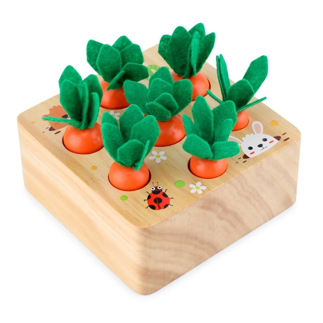 Wooden Toys for Toddlers